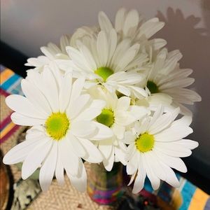 Meet your Posher, Swathi